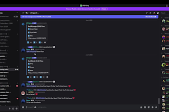 setup custom discord server professionally