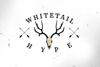 design awesome beautiful deer logo