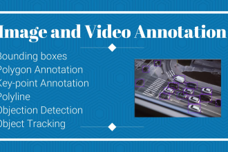 do image annotation, data annotation, object detection, tagging and labelling