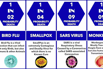 viral probability comparison video for youtube