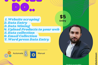 do web scraping, data entry, web research and email collection