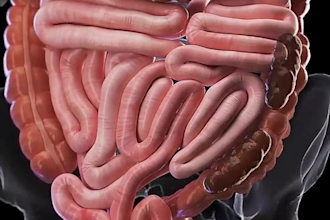 do 3d medical animation, 3d medical video for 3d medical devices and 3d surgery