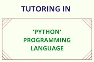 teach you python programming