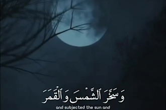 be your online quran tutor, quran teaching