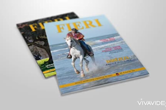 design catalog, magazine and any project with adobe indesign