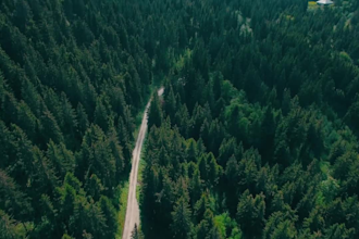 expert editing for youtube meditation videos calm and relaxation guaranteed
