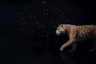 integrate 3d animal animation,3d animal model, 3d animal design ,fur xgen