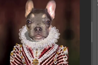 illustrate a digital custom portrait of your pet