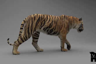 make cgi animal model, 3d animal animation, 3d animal creatures, 3d rigging, fur
