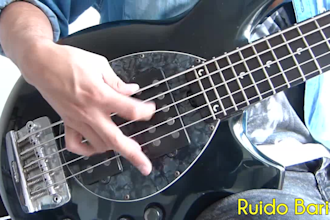 groove your track with a hot bass line