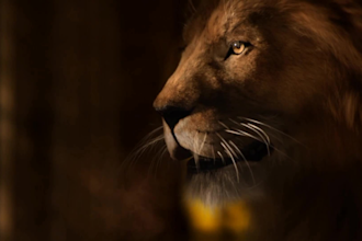 hyper realistic 3d animal model, 3d animal animation, 3d creature with xgen fur