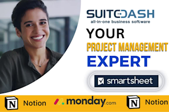 setup automation, dashboards, portal, reports in smartsheet suitedash project