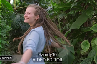 do professional video editing quickly and color correction