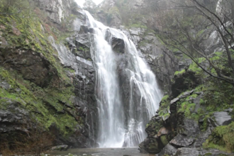 send natural photos and videos in sri lanka