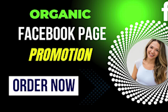 do boost your facebook page with expert promotion