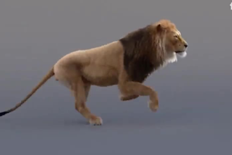 3d animal animation cgi animal model, 3d game character, 3d game model, 3d rig
