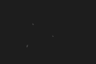 produce a premium 2d logo animation