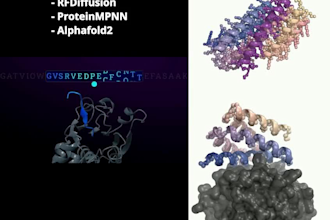 do proteins modeling, docking and analysis using alphafold2