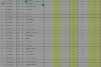 do accurate data entry, excel tasks, and web recharge
