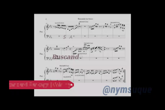 transcribe your song into a pro lead sheet or detailed sheet