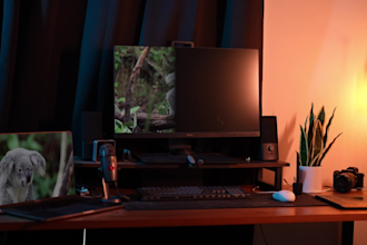 do professional screen replacement