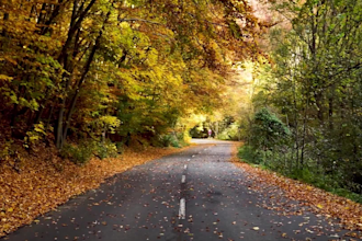 create royalty free 10 meditation relaxing videos in 24hours
