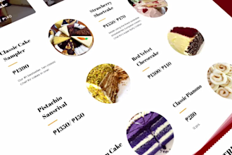 create modern website or app promo video
