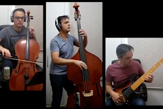 record bass guitar and upright bass