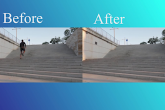 remove people, remove object or wire from video
