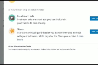 do face book page monetization for instream ads and ad break services