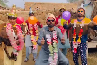 wish african happy birthday or funny happy birthday video