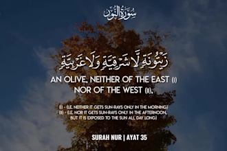 create beautiful quran recitation videos with translation