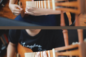 record traditional instrument seung in any song