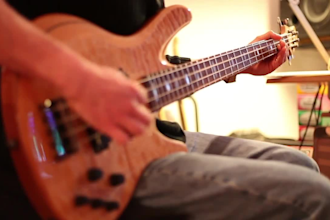 track professional electric bass for you
