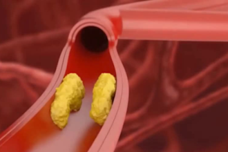 medical anatomy modeling animation medical animation medical video anatomy