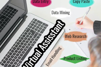 your virtual assistant for wordpress, SEO, data entry copy paste, data mining