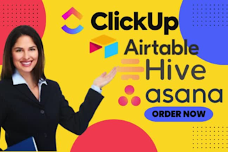 optimize, automate clickup, hive, airtable, or asana