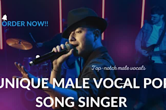 be your parody male vocal pop song singer songwriter, write country lyrics