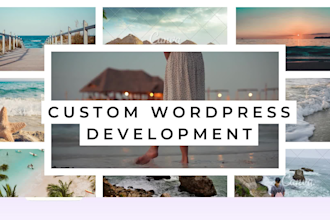 develop custom theme for wordpress website in acf