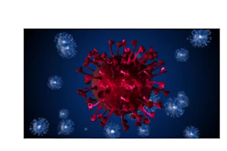 craft compelling immunology and bacteriology articles