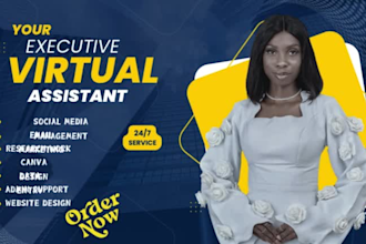 be your executive VA email management support and admin task