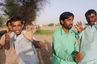 do best happy birthday funny video or spokerperson