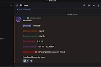 professionally setup discord community server with best design