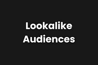manage facebook instagram  shopify ads for website traffic