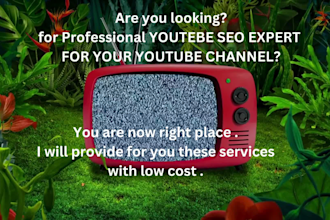 be your youtube SEO expert for better ranking your channel