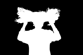 do hollywood quality rotoscoping, professionally