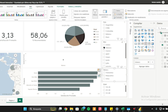provide professional data analysis and custom visualization