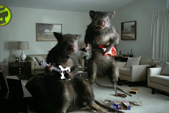 personalize pest control video ads with your branding