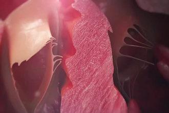 do high end 3d medical animation, 3d biomedical animation, scientific animation