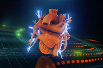 create a high quality 3d medical animation for surgery and devices